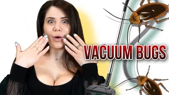 Vacuum cleaner against bugs: who will win?