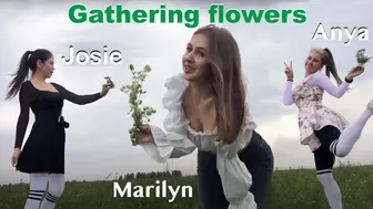 Gathering flowers in the field with Anya and Josie