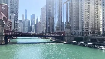 48 hours in Chicago #4