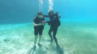 Swimming with SHARKS in the Caribbean Sea!!! #2