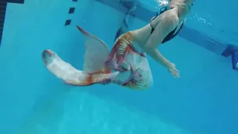 Swimming Underwater in Megan Jones's Mermaid Tail #2