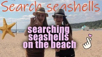 searching seashells on the beach