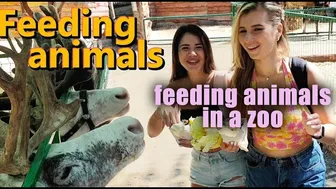 Anya and Josie feeding animals in a zoo part 1