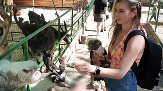 Anya and Josie feeding animals in a zoo part 1 #2