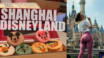 Disneyland Shanghai in 4 hours!