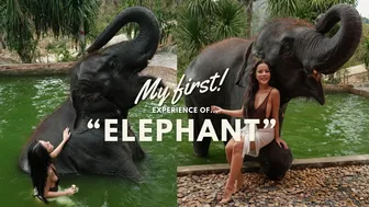 My FIRST Experience of ELEPHANT! #1