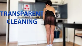 Transparent kitchen cleaning #1