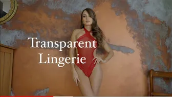 Transparent Lingerie Try On Haul Shein #1