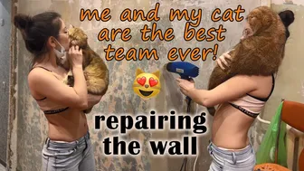 Scraping and repairing the wall with my cat