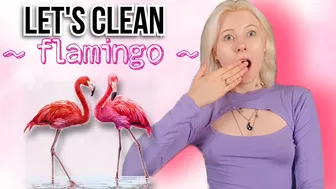 Flamingos in Rescue: Cleaning the Flamingo Lifebuoy