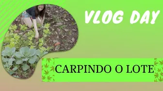 VLOG : CARPINDO UM LOTE #1