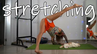 SHORT CLIPS: beautiful leg shapes // yoga art