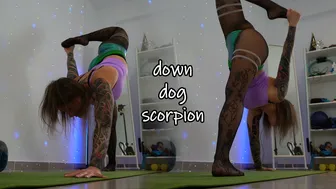 SHORT CLIPS: down dog scorpion // yoga art