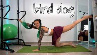 SHORT CLIPS: exercises in a skirt - bird dog excercise