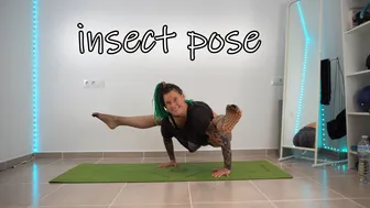 SHORT CLIPS: insect pose