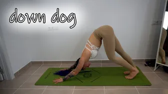 SHORT CLIPS: downward facing dog