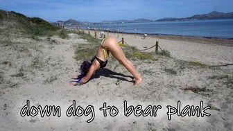 SHORT CLIPS: down dog to bear plank transition