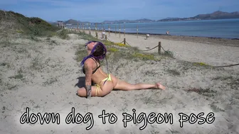 SHORT CLIPS: down dog to pigeon pose transition