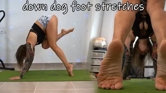 SHORT CLIPS: down dog foot stretches // foot gymnastics #1