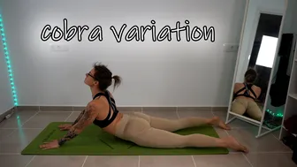 SHORT CLIPS: cobra variation #1