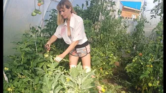 Навожу порядок в теплице / I'm cleaning up the greenhouse