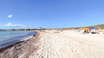 Platja de Ses Illetes Beach, FORMENTERA, Ibiza, SPAIN 4K Walk 2024 #4