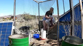 Taking care of the chickens #5