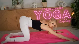 Beginners Yoga Stretching Routine | Stress Relief