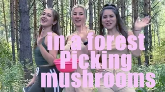 in a forest Picking mushrooms video | Anya P. life with friends