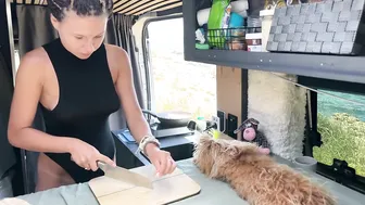 young beauty lives in a camper♥️♥️ prepares a yummy meat with her small dog♥️♥️ vanlife #3