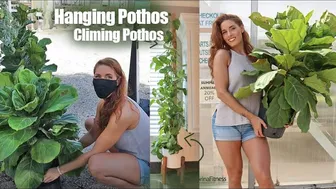 Plant Shopping With Me & Interesting Repotting Pothos