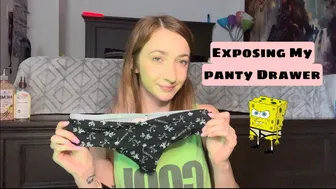 EXPOSING My WHOLE Panty Drawer - A Panty Raid ????