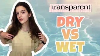 [4K] Transparent Try on Haul | Dry Vs Wet with Emily