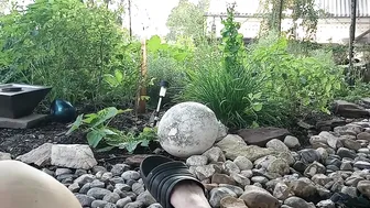 Relaxing Garden Vibes #2