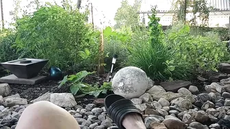 Relaxing Garden Vibes #3