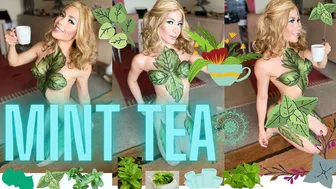 How To Make Mint Tea / Como Hacer Té De Menta / Recipe With Herb Mint / Receta Te Menta / BodyPaint #1