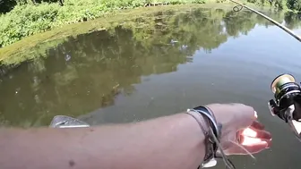 CATCHING A LARGEMOUTH BASS WHILE PADDLEBOARDING #3