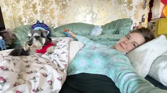 My Sleeping Habits with a Miniature Schnauzer #4